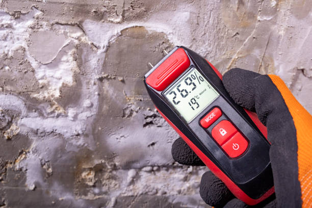Best Mold Removal Near Me  in Raoul, GA
