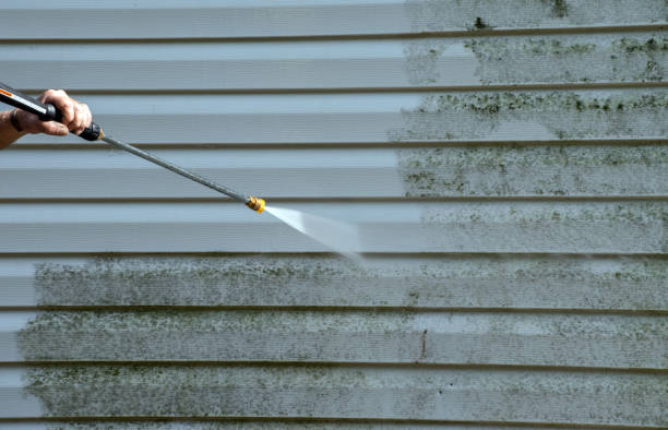 Best Residential Mold Removal  in Raoul, GA