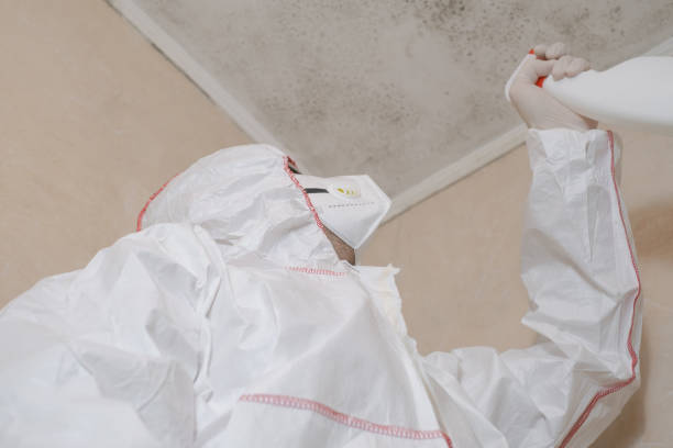 Best Toxic Mold Removal  in Raoul, GA